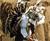 Native American Powwow Dancer