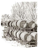 Pen & Ink illustration Oak Barrels at Winery in New Mexico